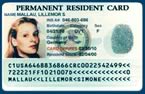 Innovation: Mit der Green Card die Marktchancen erhöhen!